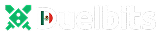 Duelbits Casino